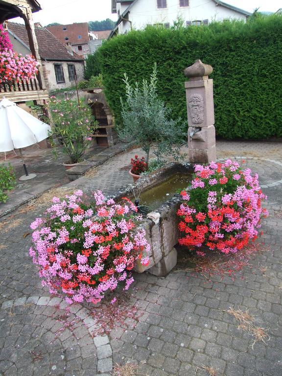 D'hôtes Au Vigneron Séjour chez l'habitant Triembach-au-Val